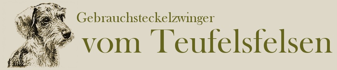 Teufelsfelsen DE