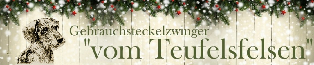 Teufelsfelsen DE